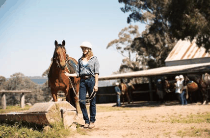 Watsons Trail Rides - Phillip Island Accommodation