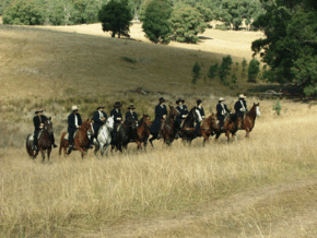 McCormacks Mountain Valley Trail Rides - Phillip Island Accommodation