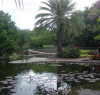 Brisbane City Botanic Gardens - Phillip Island Accommodation