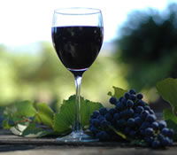  Phillip Island Accommodation