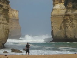 Book Melbourne VIC Attractions Phillip Island Accommodation Phillip Island Accommodation