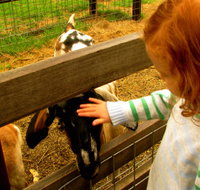 Collingwood Children's Farm - Phillip Island Accommodation