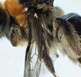 Western Australian Museum - Phillip Island Accommodation