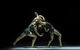 Sydney Dance Company - thumb 0