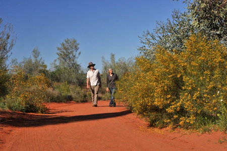 Alice Springs Desert Park - Phillip Island Accommodation 3