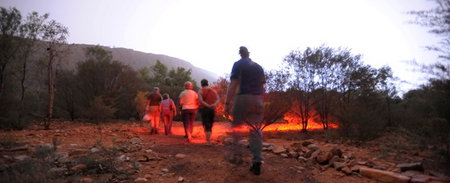 Alice Springs Desert Park - Phillip Island Accommodation 4