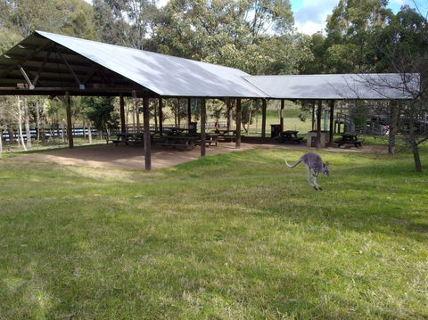 Calmsley Hill City Farm - Phillip Island Accommodation 5