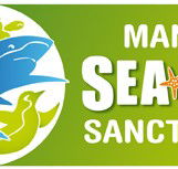 Manly SEA LIFE Sanctuary - Phillip Island Accommodation