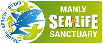 Manly SEA LIFE Sanctuary - Phillip Island Accommodation 0