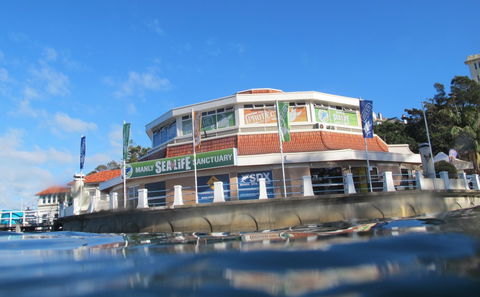 Manly SEA LIFE Sanctuary - Phillip Island Accommodation 2