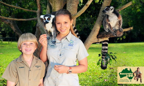 Australia Zoo - Phillip Island Accommodation 2