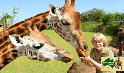 Australia Zoo - Phillip Island Accommodation 4