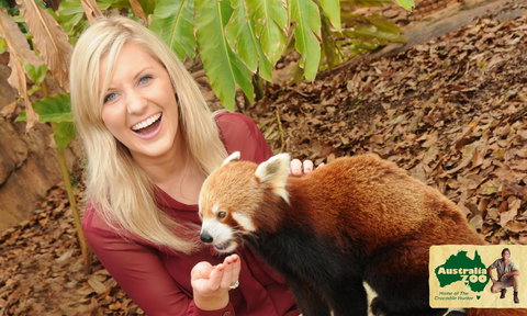 Australia Zoo - Phillip Island Accommodation 7