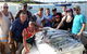 BKs Gold Coast Fishing Charters - thumb 8