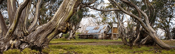 High Country Scenic Tours - Phillip Island Accommodation