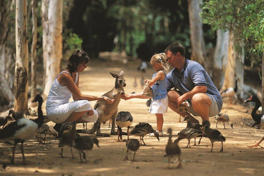 Townsville QLD Phillip Island Accommodation