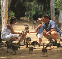 Billabong Sanctuary - Phillip Island Accommodation