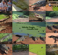 The Malcolm Douglas Crocodile Park - Phillip Island Accommodation