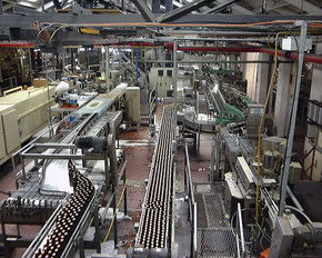 Cascade Brewery Tour - Phillip Island Accommodation 2