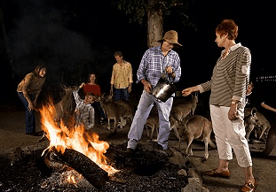 Cairns Night Zoo - Phillip Island Accommodation