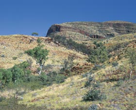 Phillip Island Accommodation
