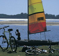 Leschenault Estuary - Phillip Island Accommodation