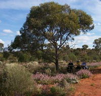 Karlkurla Bushland Park - Phillip Island Accommodation