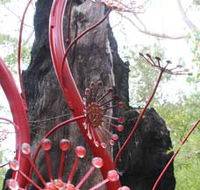 Understory Art In Nature - Phillip Island Accommodation