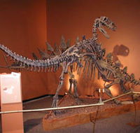 Denmark Dinosaur World - Phillip Island Accommodation