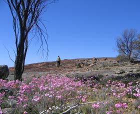 Talgomine Reserve - Phillip Island Accommodation 0