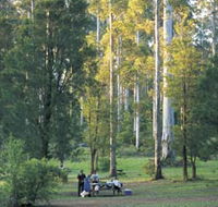 Big Brook Arboretum - Phillip Island Accommodation