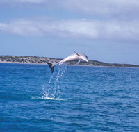 Steep Point - Phillip Island Accommodation