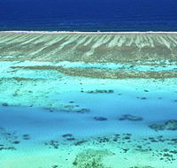 Christian Fletcher Photo Images - Dunsborough - Phillip Island Accommodation