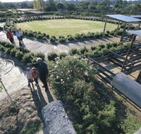 Kojonup Rose Maze - Phillip Island Accommodation
