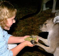 Discovery Bay's Walk on the Wild Side - Phillip Island Accommodation