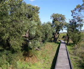 Kepwari Trails Wetland Wonderland - Phillip Island Accommodation 0