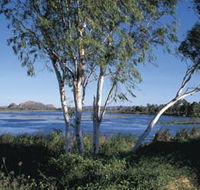 Celebrity Tree Park - Phillip Island Accommodation