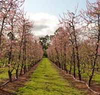 Raeburn Orchards - Phillip Island Accommodation