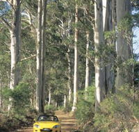 Mount Shadforth Scenic Drive - Phillip Island Accommodation