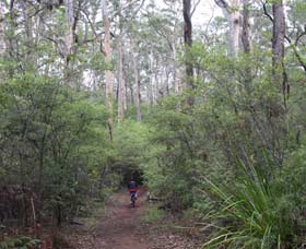  Phillip Island Accommodation