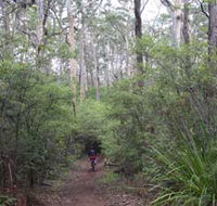 Margaret River Rails Trail - Phillip Island Accommodation