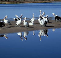 Peel Region Canoe Trails - Phillip Island Accommodation