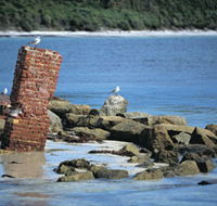 Whalers Beach - Phillip Island Accommodation
