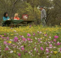 Gwambygine Park - Phillip Island Accommodation