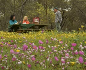 Gwambygine Park - Phillip Island Accommodation 0