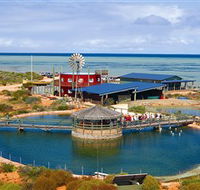 Ocean Park Aquarium - Phillip Island Accommodation