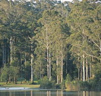 Big Brook Dam - Phillip Island Accommodation