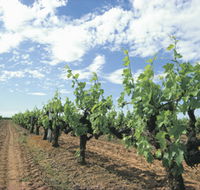 Blackwood Meadery - Phillip Island Accommodation