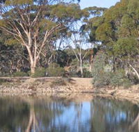 Merredin Railway Dam - Phillip Island Accommodation