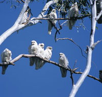 Carawine Gorge - Phillip Island Accommodation